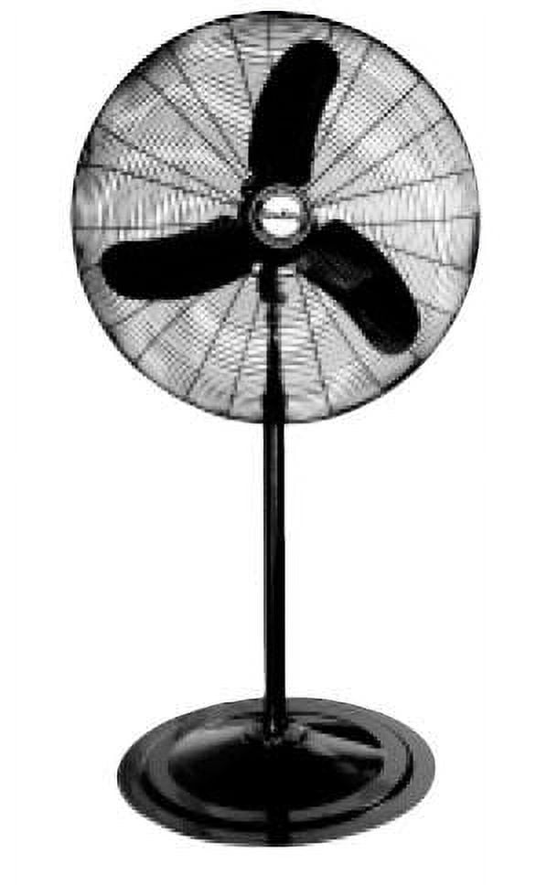 Black 24" Powder Coated Steel Oscillating Pedestal Fan