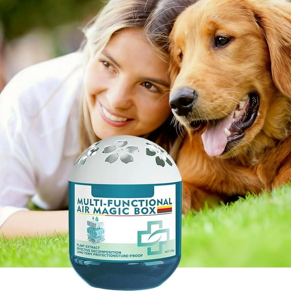 Air Magic Box, Indoor Air Purification Dust Removal Magic Box, Long-Lasting Air Freshener 120g for Home, Pet Areas