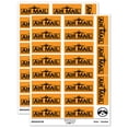 thumbnail image 1 of Air Mail with Airplane Sticker Set - Orange - Gloss Finish - 2.00" Large, 1 of 7