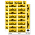 thumbnail image 1 of Air Mail with Airplane Sticker Set - Yellow - Matte Finish - 2.00" Large, 1 of 7
