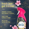 thumbnail image 1 of Air Mist - Cherry Blossom - 8.1oz: Disposable, Dye-Free, Phthalate-Free, 1 of 4