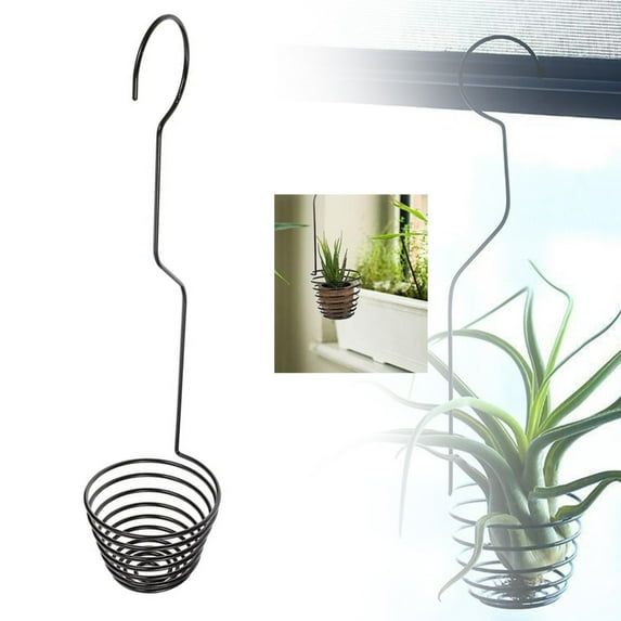 Air Pineapple Hook Large Clearance! Air Pineapple Hook Air Plant Hanging Hook Air Plant Display Rack Display Hanger for Air Plant Holder Tillandsia Hanger Modern Hanger Air Plant Hook