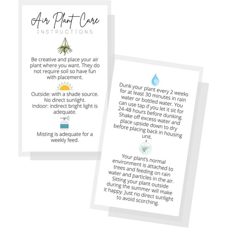 Air Plant Care General Instructions Card 50 Pack 2x3.5 in Business Card Air Plant Care Plant Care Guide for House Sitter, Neighbor, Friend White Card with Colored Icons