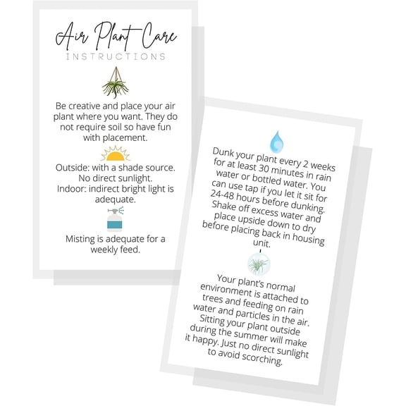 Air Plant Care General Instructions Card 50 Pack 2x3.5 in Business Card Air Plant Care Plant Care Guide for House Sitter, Neighbor, Friend White Card with Colored Icons