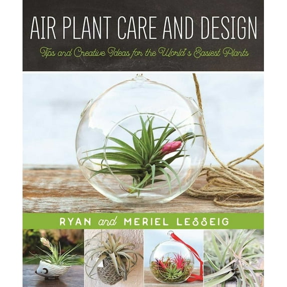 Air Plant Care and Design : Tips and Creative Ideas for the World's Easiest Plants (Paperback)