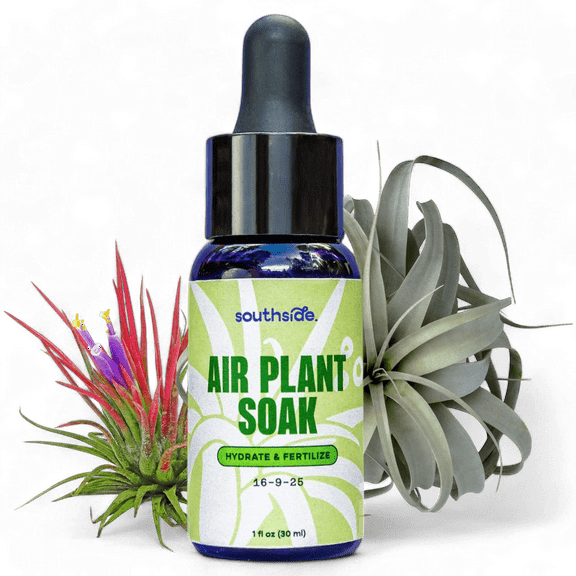Air Plant Soak by Southside Plants - Fertilizer Mist for Houseplants, Weekly Plant Food - Gentle Mist Formula for Miracle Feed & Grow - 1 oz