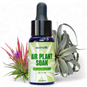Air Plant Soak by Southside Plants - Fertilizer Mist for Houseplants, Weekly Plant Food - Gentle Mist Formula for Miracle Feed & Grow - 1 oz