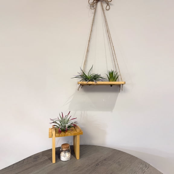 Air Plant Stands Kit 2-Piece Natural Poplar Wood Display for Air Plants (Single Stand + Swing)