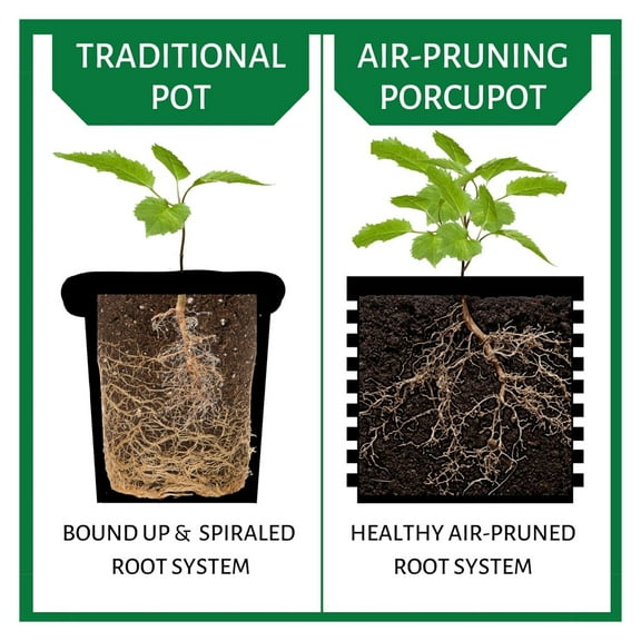 Air Pruning Pots for Plants (2-PACK with Green Handles) – Complete Grow Kit (1 & 5 Gallon Pots) - Promote Healthy Plant Roots Complete Air Pruning, Re-Planting & Plant Rooting System