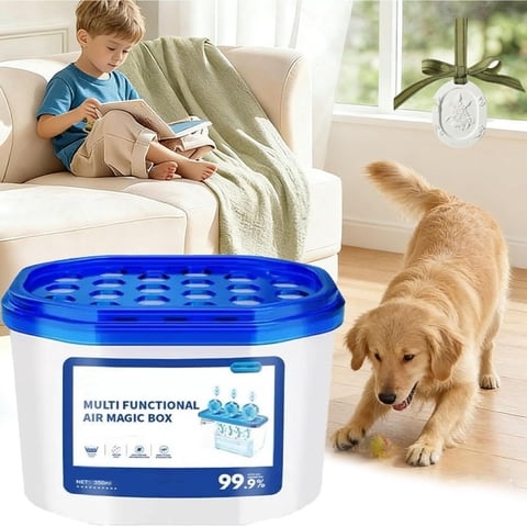 Air Purifier Box, Home Dust Remover, Round Style Odor Neutralizer for Pet, Smoke, Long Lasting Fresh Air for Small Rooms, 2 Air Magic Box