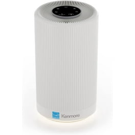 Filtrete F1 Room Air Purifier Filter, True HEPA Premium Allergen, Bacteria,  & Virus, 12 in. x 6.75 in., 4-Pack, Works with Devices: FAP-C01BA-G1