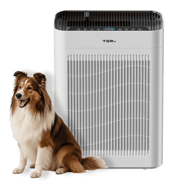 Air Purifier for Home with PM 2.5 Sensor, Dual-Sided H13 Hepa Air Purifier for Large Room Up to 2390 Sq Ft, Air Cleaner with Washable Filters,for Dust, Pets, Smoke, Pollon 21dB