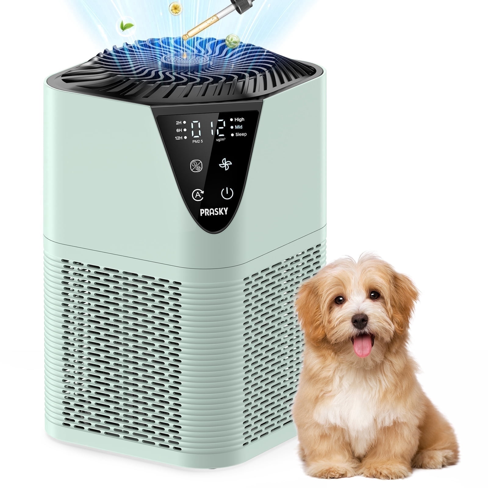 PRASKY Air Purifier for Home 1076 Sq Ft Coverage, True HEPA Filter for Pets, Smoke & Allergies | Quiet & Portable for Bedroom/Living Room (Green)