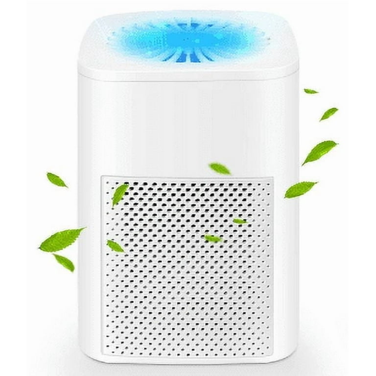 Gonrair Air Purifier for Allergies and Smoke Odor, Portable Mini