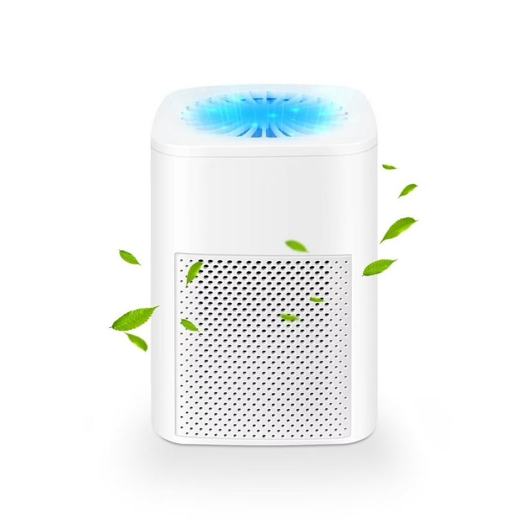Air purifier for asthma walmart deals