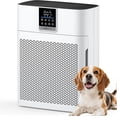thumbnail image 1 of Air Purifiers for Home Large Room up to 2180 Sq Ft, HEPA Air Purifier with Washable Nylon Pre-Filter, PM2.5 Air Quality Sensor, Air Cleaner for Pet Hair, Odor, Smoke, Dust, Pollen AP2410, 1 of 4