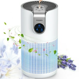 Air purifier for smoke walmart clearance