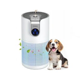 Air purifier for smoke walmart sales