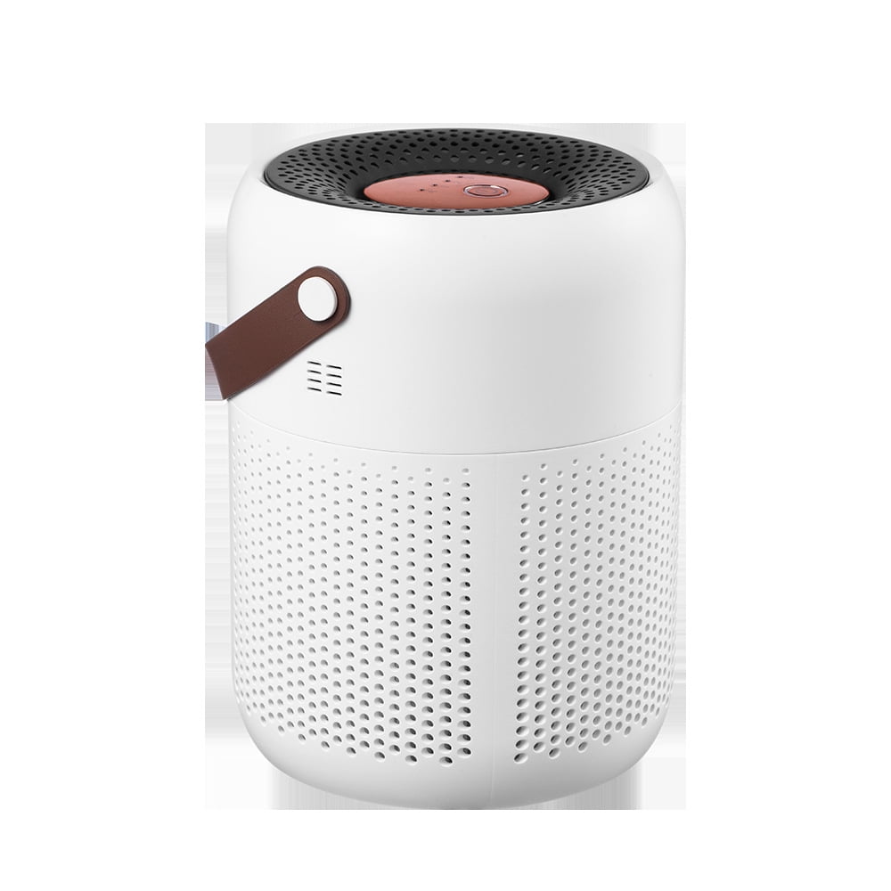 Air Purifiers for Bedroom, Air Purifiers for Home, Pets, Office, Quiet Small Air Filters with Sleep Mode Speeds Control