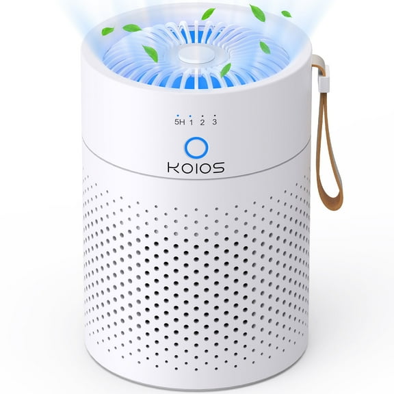 Air Purifiers for Bedroom Home, with HEPA Filter for Home, Small Portable Air Purifier with USB , Remove 99.9% Smoke Dust for 500 SQ.ft
