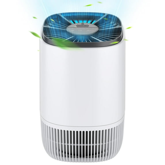 Air Purifiers for Home