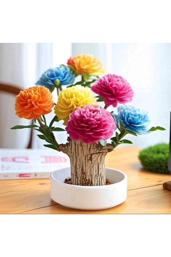 Air-Purifying Brazilian Wood Plant for Healthy Living & Good Fortune, Natural Indoor Décor with Pet-Safe, Low-Maintenance Design, Perfect for Homes, Offices, and Thoughtful Gift Giving, Promotes