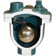 Air Release Valve, FNPT, 3/4 x 1/2, CI