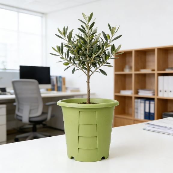 Air Root Pruning Thick Plastic Plant Pot 3 Colors Breathable Drainage Round Planter Anti-Root Rot No Water Accumulation Flower Pot