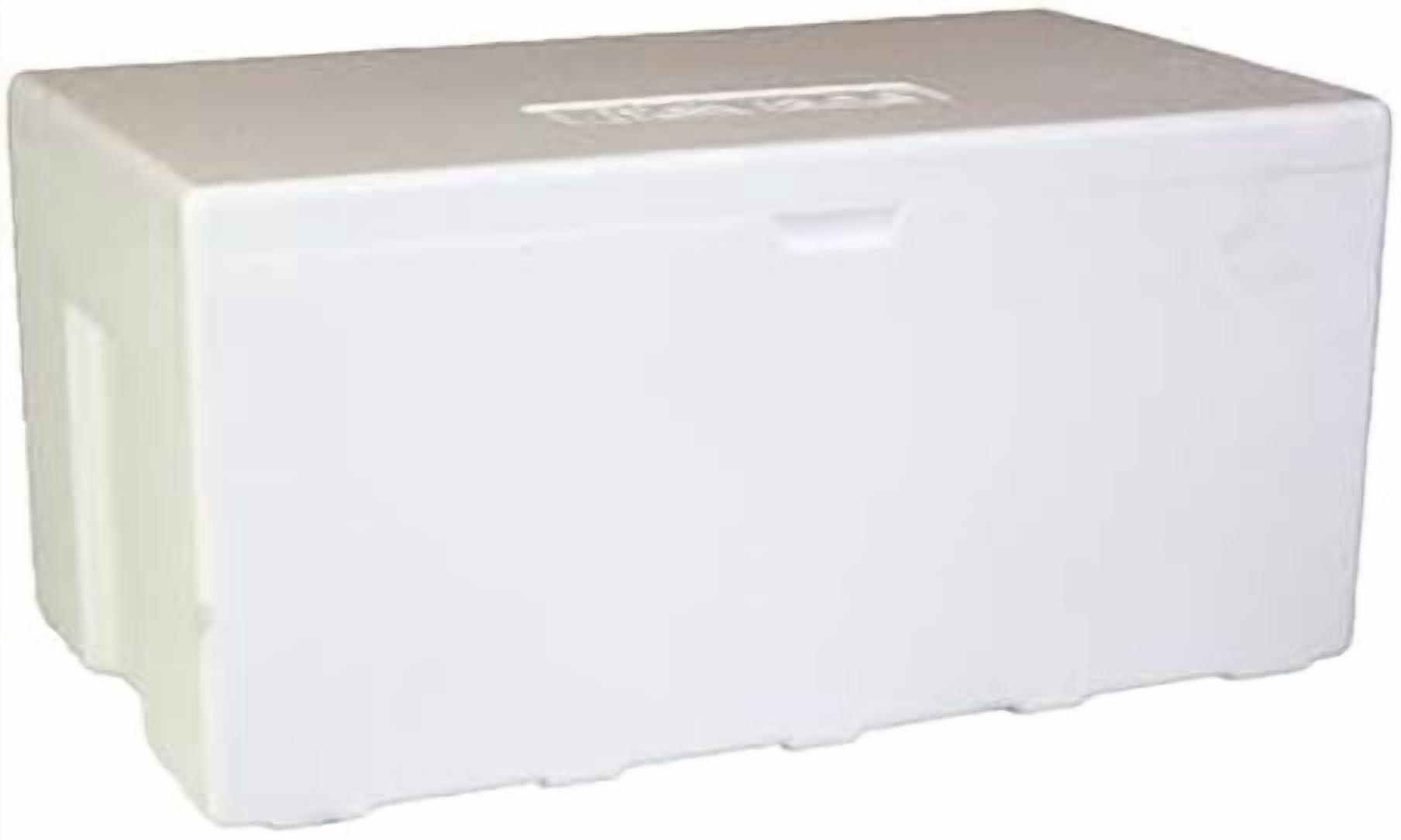 Air Sea Containers | Large Insulated Styrofoam Cooler | 90-Quart Extra Large | Lightweight | Styrofoam Cooler for Shipping | for Frozen Food