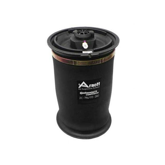 Air Spring - Compatible with 2015 - 2019 BMW X6 M 2016 2017 2018
