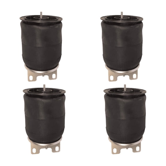 Air Spring Rl Pb Replaces OEM: 1R12-403 (4 Pack)