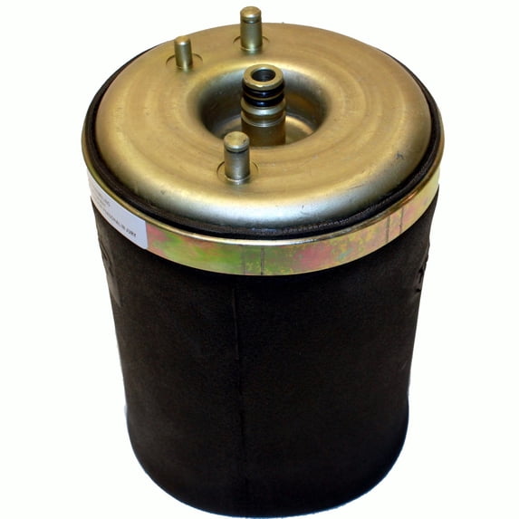 Air Suspension Spring Fits select: 2000-2006 BMW X5