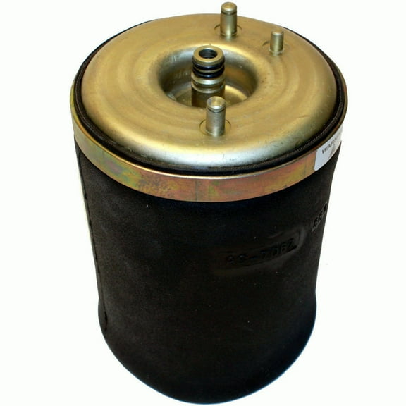 Air Suspension Spring Fits select: 2000-2006 BMW X5