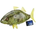 Air Swimmers Remote Control Flying Bass Fish Toy - Battery Operated Fun ...