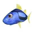 thumbnail image 1 of Air Swimmers Remote Control Flying Regal Tang, 1 of 2