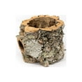 thumbnail image 1 of Air plant shop Natural Cork Bark Planters- Wholesale and Bulk - Succulents - Live Tillandsia - Easy Care Indoor and Outdoor House Plants (Pack of 3), 1 of 12