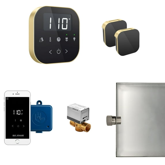 AirButler Max Package Black Satin Brass