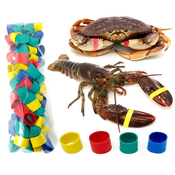 AirFly Crab, Lobster Claw Rubber Bands & Binder, Protect Lobsters & Crabs, Cook Safe FDA-Compliant Silicone, 100 pcs (Assorted Color)