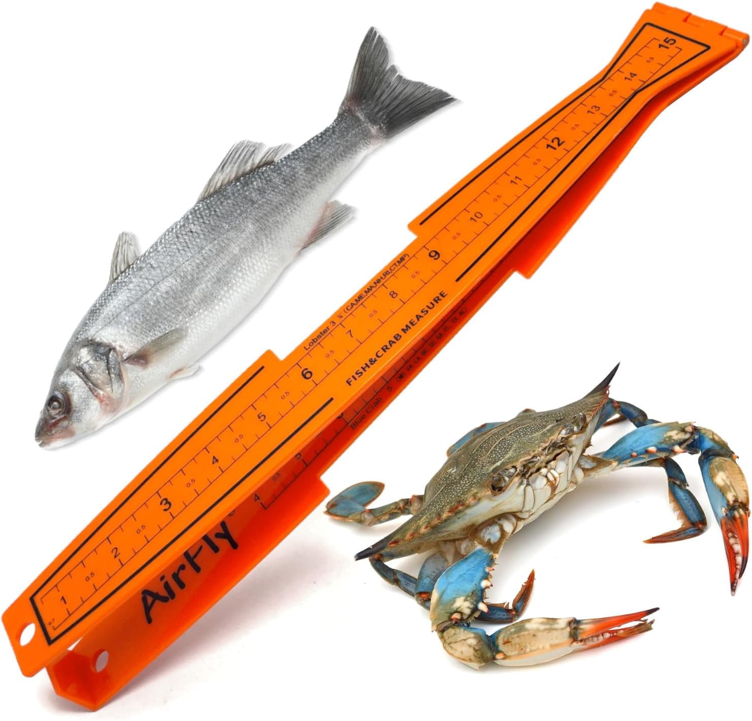 AirFly Folding Fish Measuring Board, 32in Ruler with Built-in Gauges ...