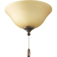 thumbnail image 1 of AirPro Collection Three-Light Ceiling Fan Light, 1 of 4