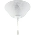 thumbnail image 1 of AirPro Collection Two-Light Ceiling Fan Light, 1 of 4