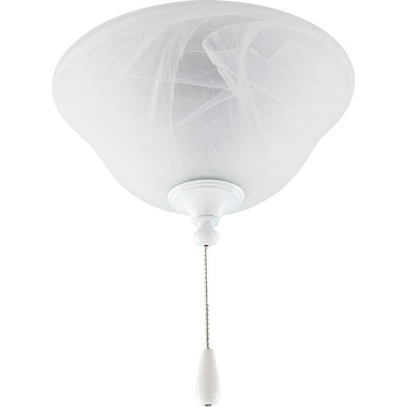 AirPro Collection Two-Light Ceiling Fan Light