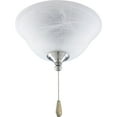 thumbnail image 1 of AirPro Collection Two-Light Ceiling Fan Light, 1 of 5