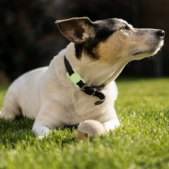 AirTag Dog Collar Anti-Lost Locator Pet Loop Holder - Avocado Green