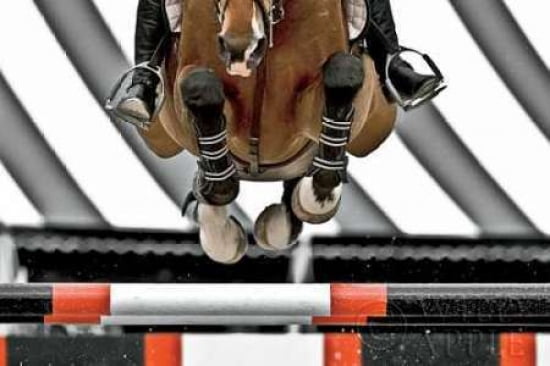 Airborne Canvas Art - Lisa Cueman (24 x 36)