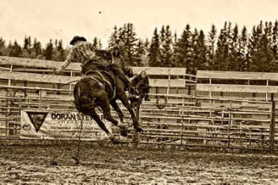 Airborne Canvas Art - Roberta Murray (24 x 36)