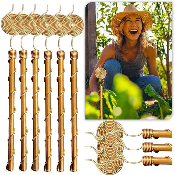 Aired Botanical Training Stakes Copper Coil Support Form for Climbing ...