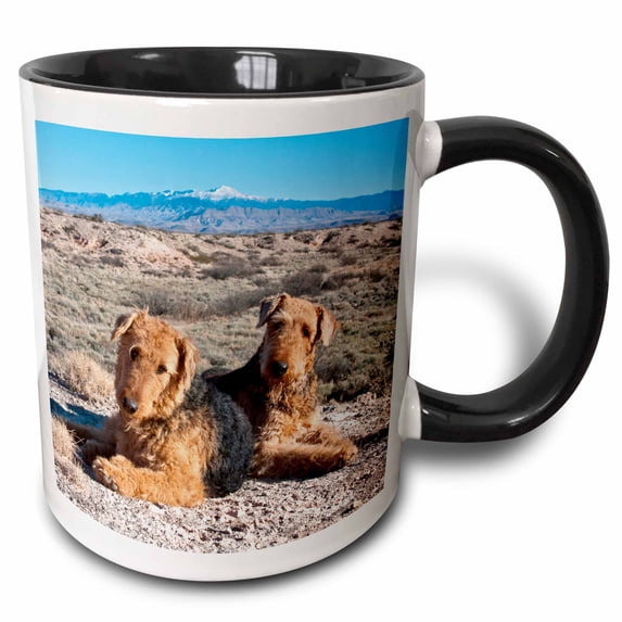 3drose, Airedale Terrier Dogs, New Mexico - Us32 Zmu0027 - Zandria Muench Beraldo, 15oz Two-tone Black Mug