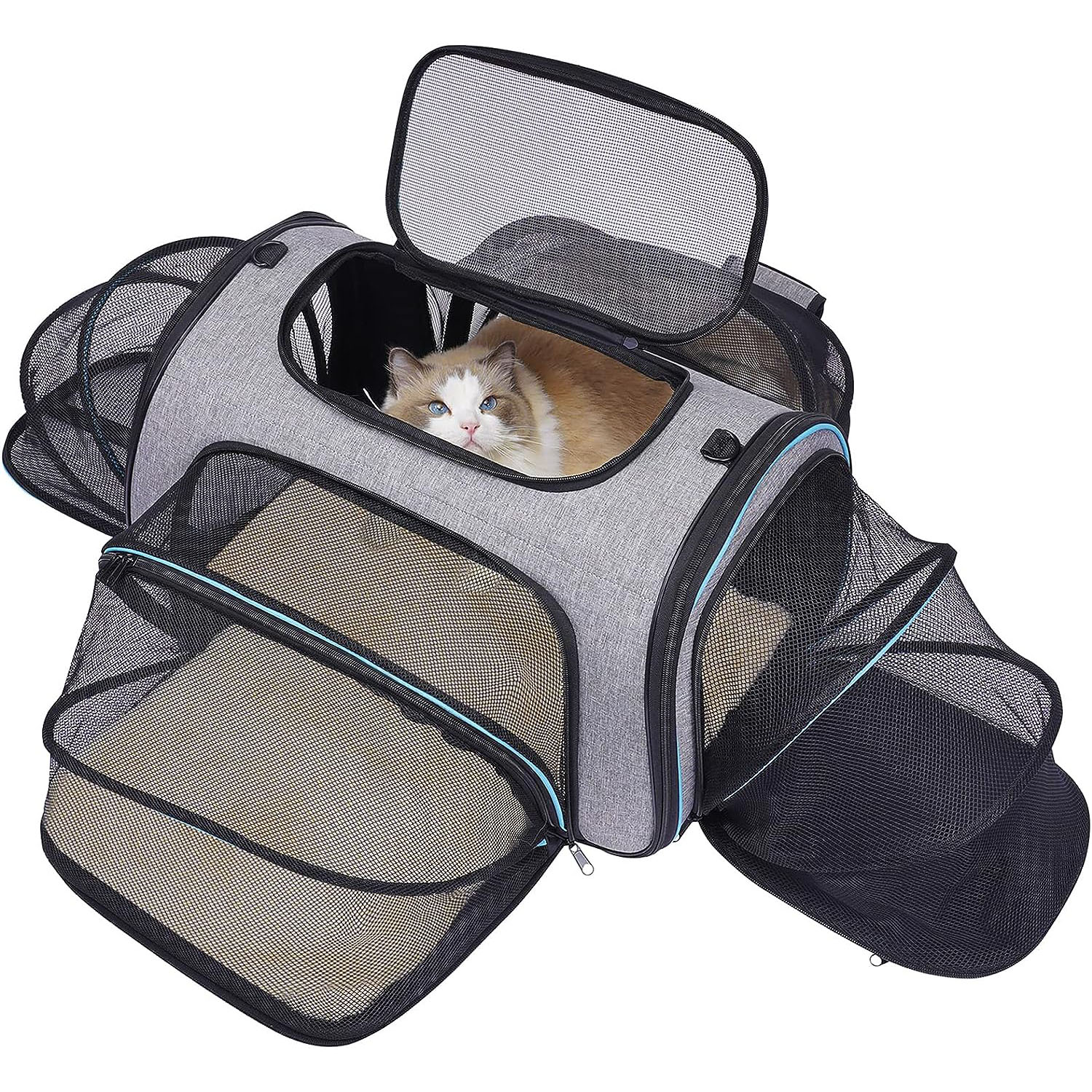 Airline Approved Pet Carrier, Soft Sided Pet Travel Carrier 4 Sides
