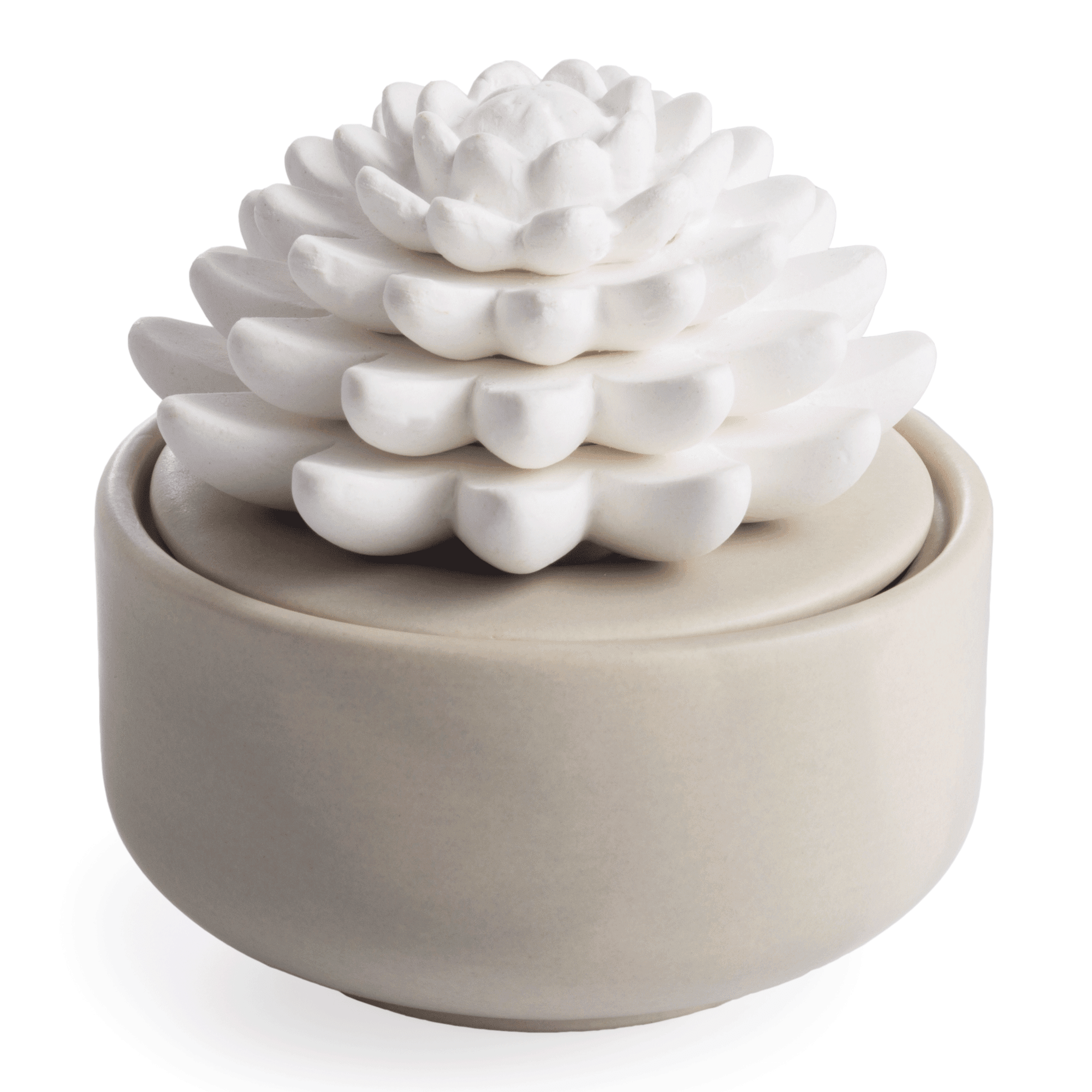 Warm Gray Matte Porcelain Succulent Electric Diffuser with Peppermint Oil
